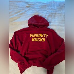 Danny Duncan virginity rocks hoodie